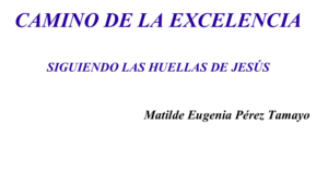 Camino de la Excelencia