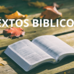 Denzinger Completo en PDF – Historia de los concilios católicos