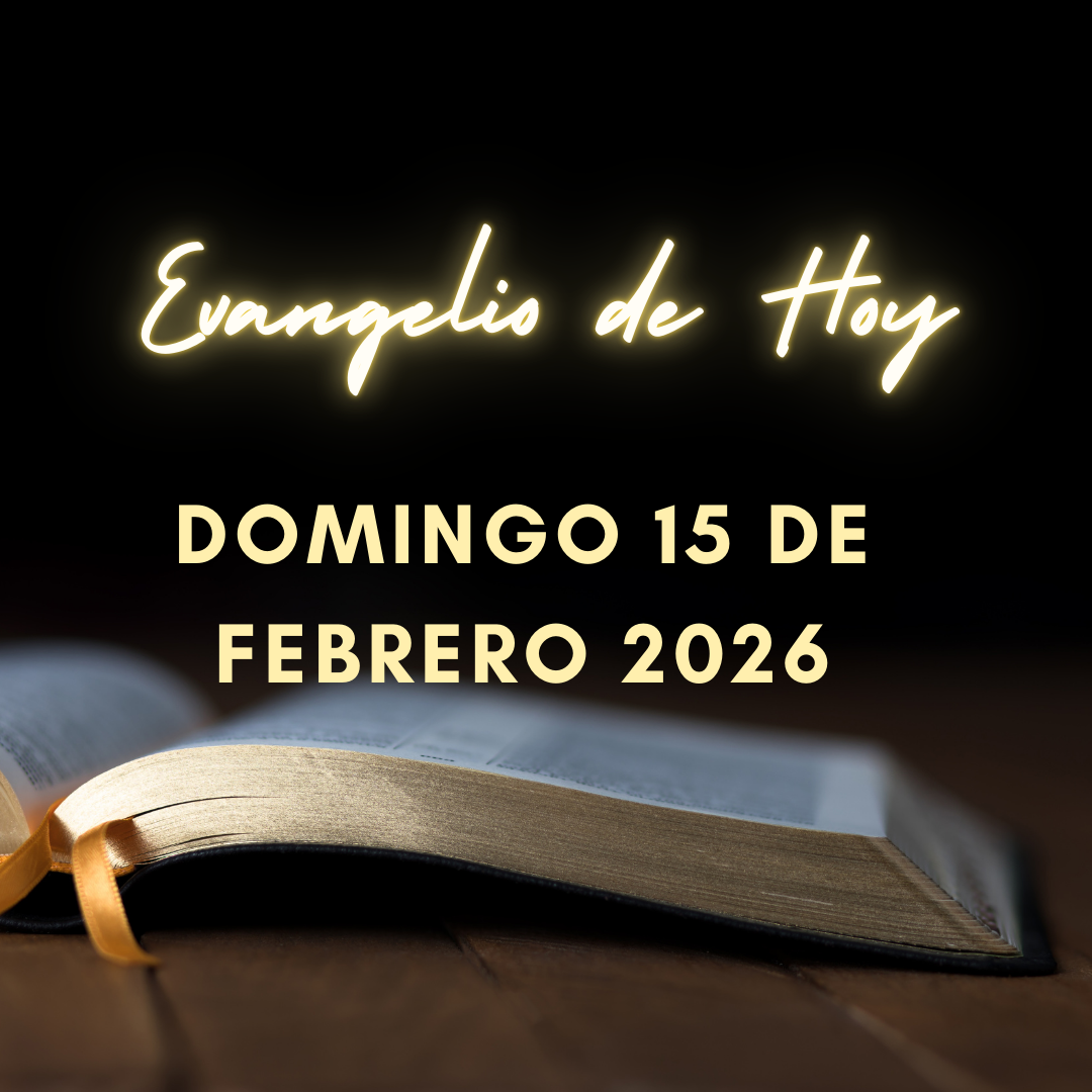Evangelio de Hoy Domingo 15 de Febrero de 2026