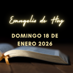 Sabado 17 de Enero de 2026