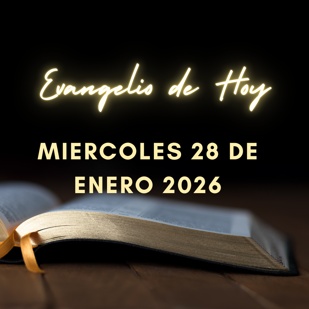 Evangelio de Hoy Miercoles 28 de Enero de 2026