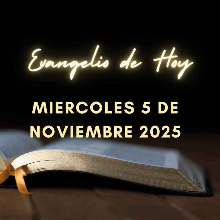 Evangelio de Hoy Miercoles 5 de Noviembre de 2025