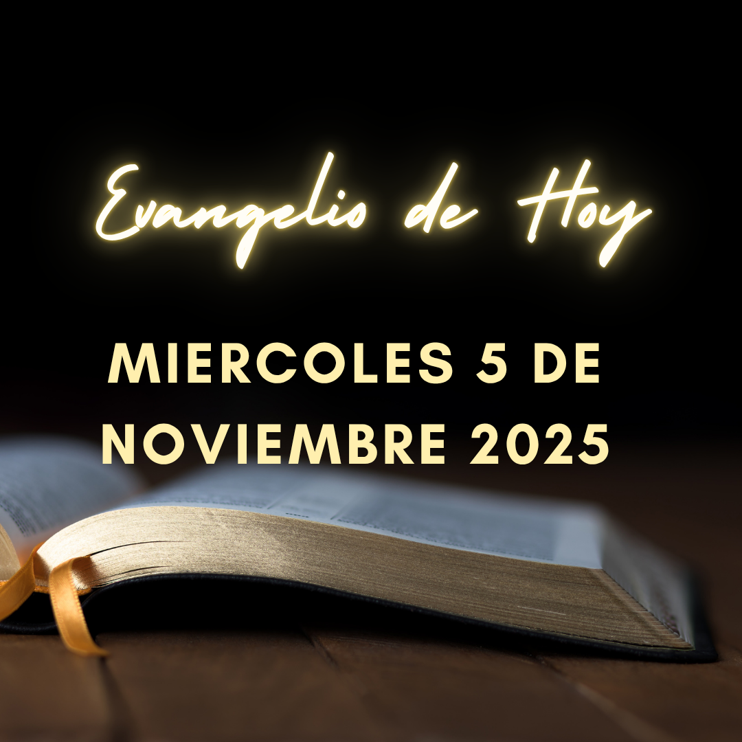 Evangelio de Hoy Miercoles 5 de Noviembre de 2025