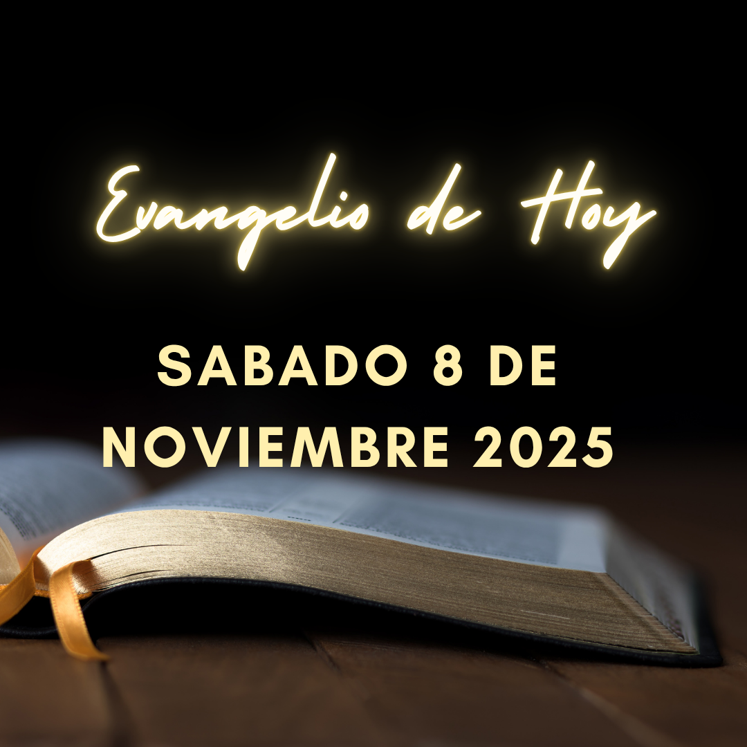 Evangelio de Hoy Sabado 8 de Noviembre de 2025