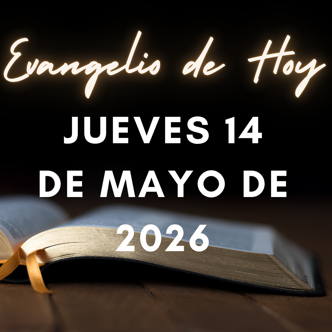 Evangelio de Hoy Jueves 14 de Mayo de 2026 y Lecturas de la Misa